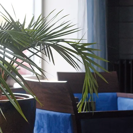 מלון Ter Streep 3*